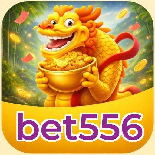 Estatísticas bet556